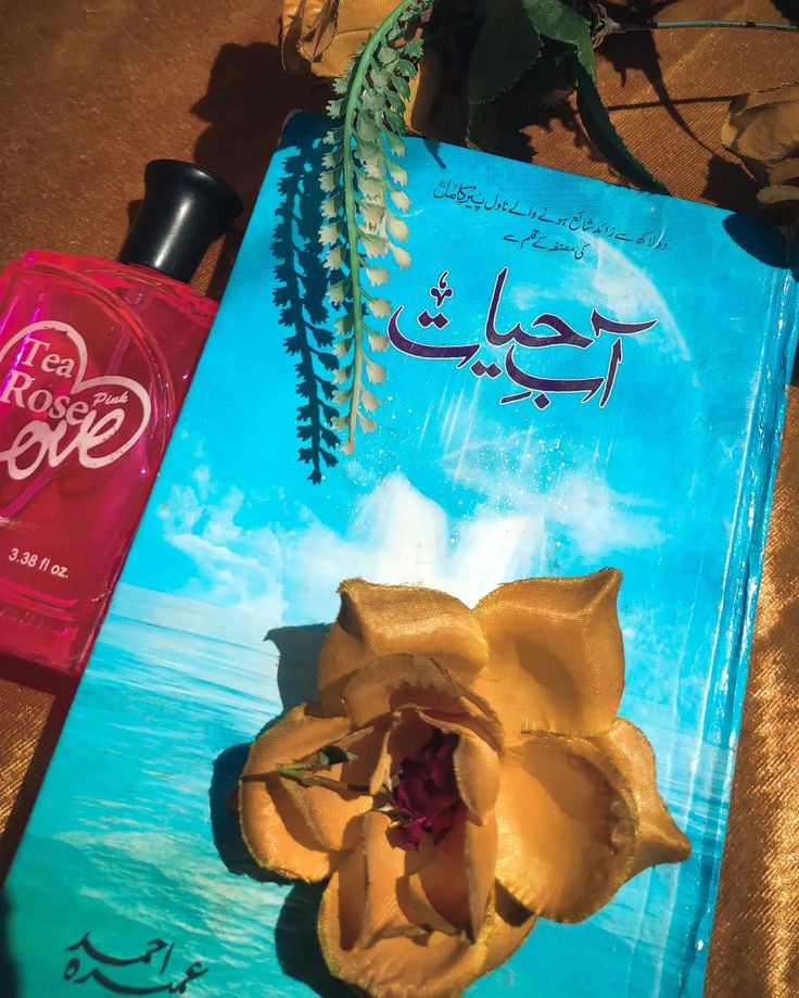 Aab-e-Hayat by Umera Ahmed